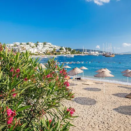Villa Private Luxury In With Pool, Sauna & Stunning Sea View