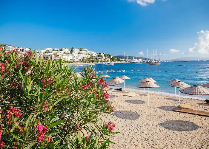 Villa Private Luxury In With Pool, Sauna & Stunning Sea View